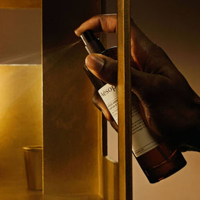 Aesop Dignity In The Lavatory