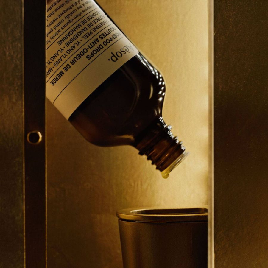 Aesop Dignity In The Lavatory