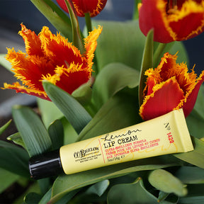 C.O. Bigelow Lemon Lip Cream