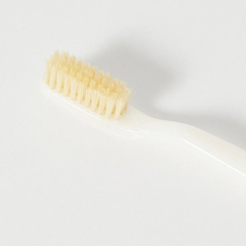 C.O. Bigelow Natural Bristle Toothbrush - Ivory Effect