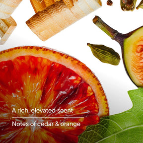 Harry's Body Wash - Fig